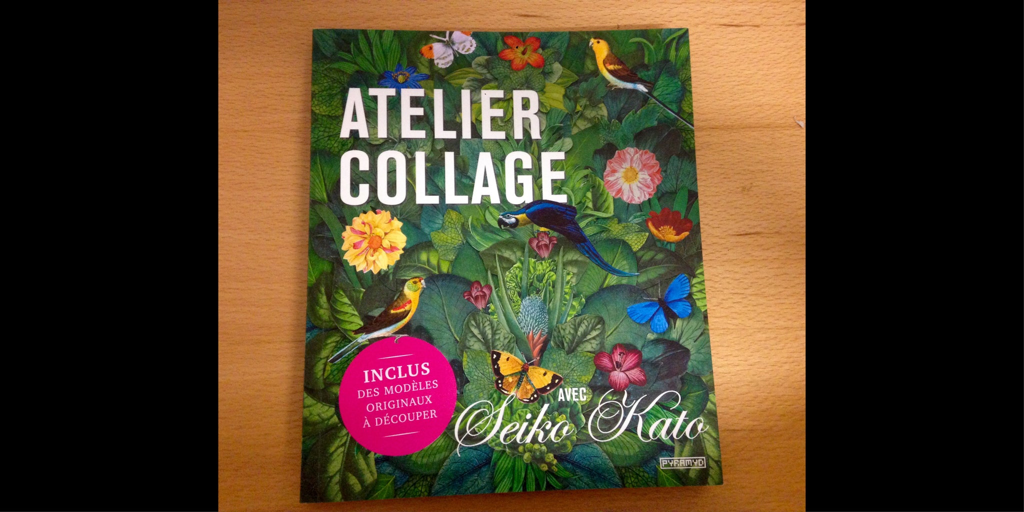 Le livre du jour #12 : Atelier collage