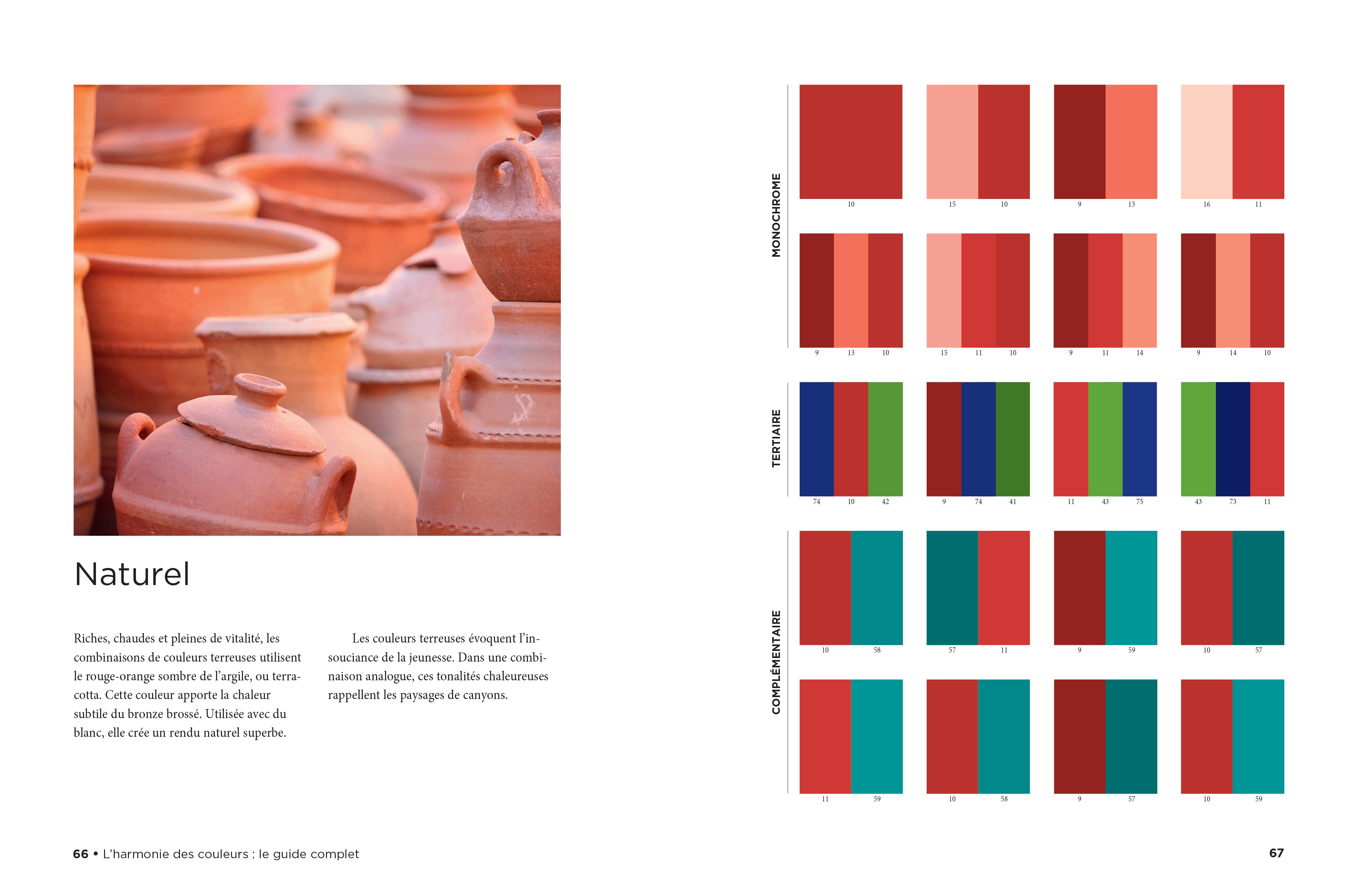 Couleur Pêche : Code Hex, Palettes & Signification Couleur Pêche : Code Hex, Palettes & Signification