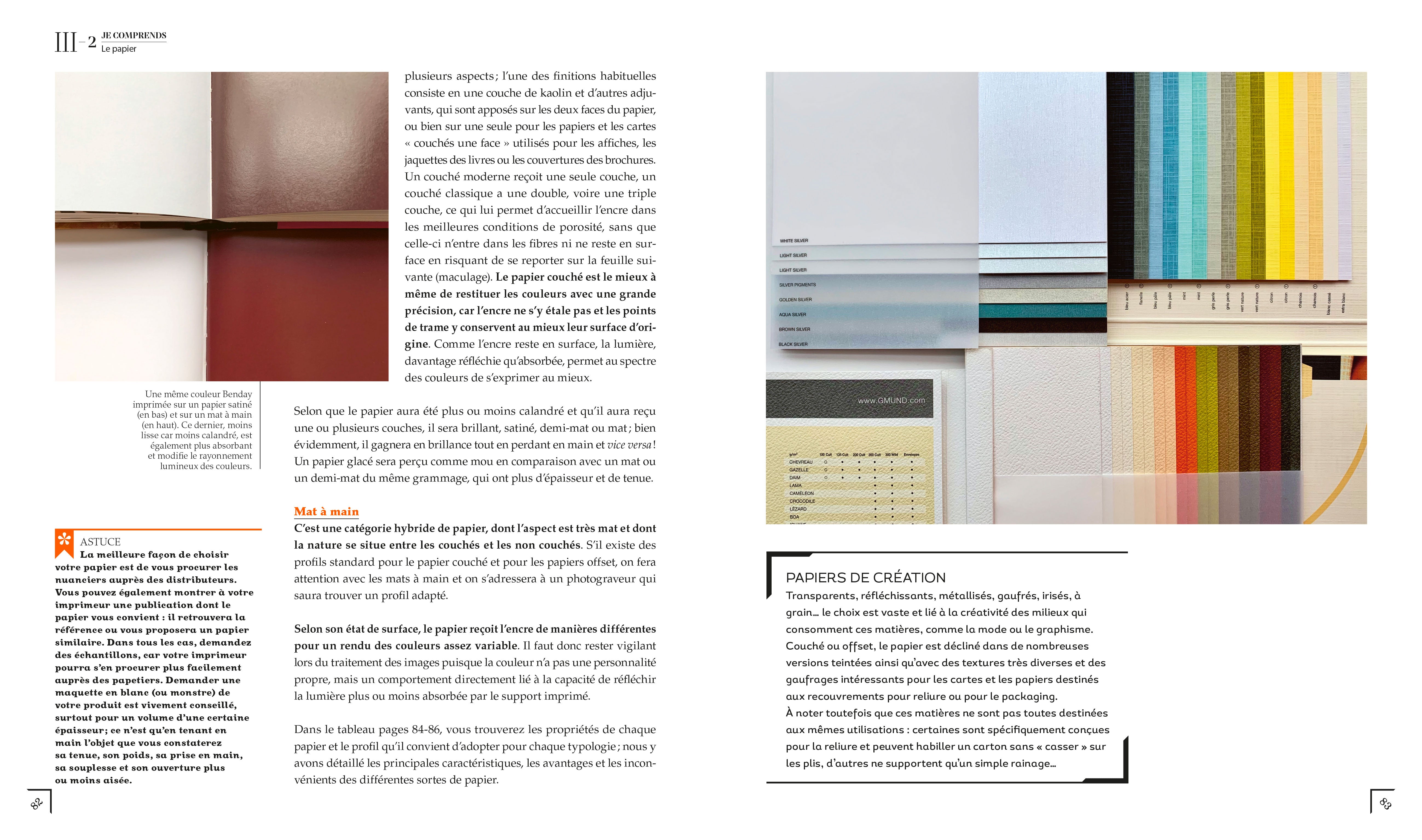 Punaises de lit Photos : Guide visuel pour une identification précise Punaises de lit Photos : Guide visuel pour une identification précise