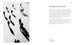 Photographie - Le petit livre des grandes inspirations